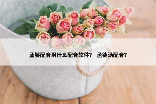 孟婆配音用什么配音软件？ 孟婆汤配音？