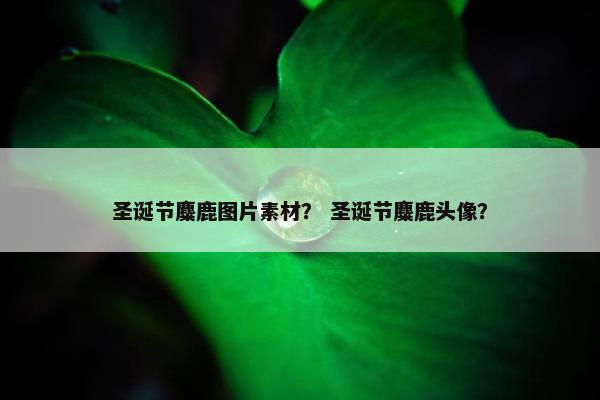 圣诞节麋鹿图片素材？ 圣诞节麋鹿头像？