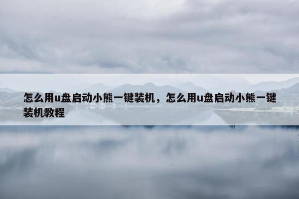 怎么用u盘启动小熊一键装机，怎么用u盘启动小熊一键装机教程