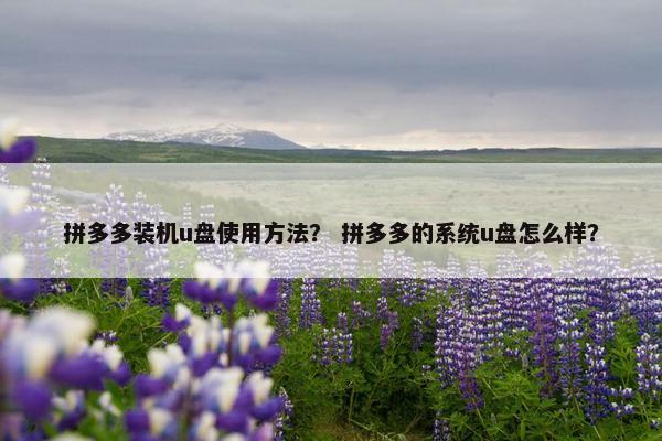 拼多多装机u盘使用方法？ 拼多多的系统u盘怎么样？
