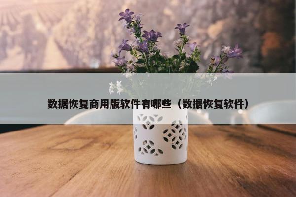 数据恢复商用版软件有哪些（数据恢复软件）