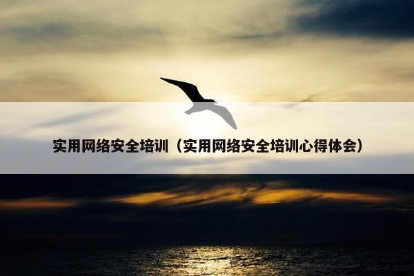 实用网络安全培训（实用网络安全培训心得体会）