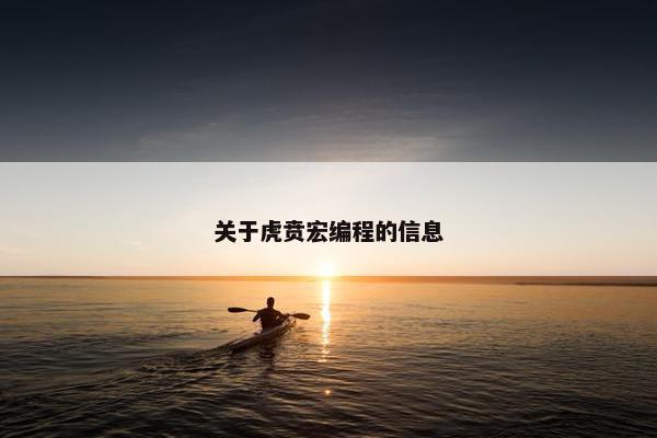 关于虎贲宏编程的信息