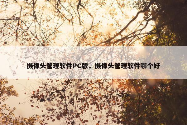摄像头管理软件PC版，摄像头管理软件哪个好