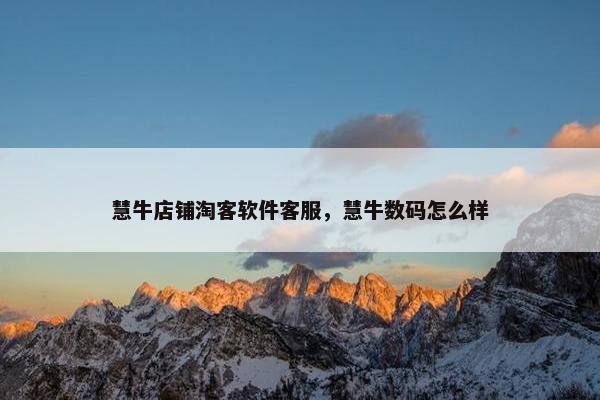 慧牛店铺淘客软件客服，慧牛数码怎么样