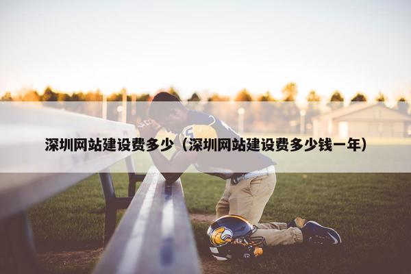 深圳网站建设费多少（深圳网站建设费多少钱一年）