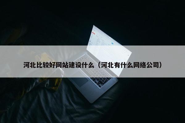 河北比较好网站建设什么（河北有什么网络公司）