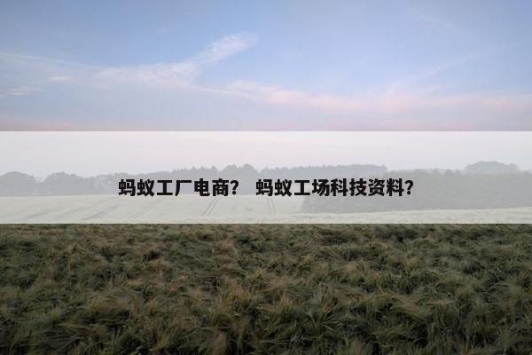 蚂蚁工厂电商？ 蚂蚁工场科技资料？