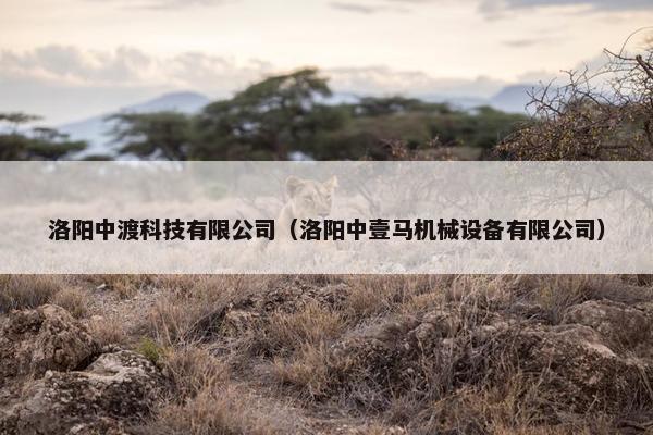 洛阳中渡科技有限公司（洛阳中壹马机械设备有限公司）
