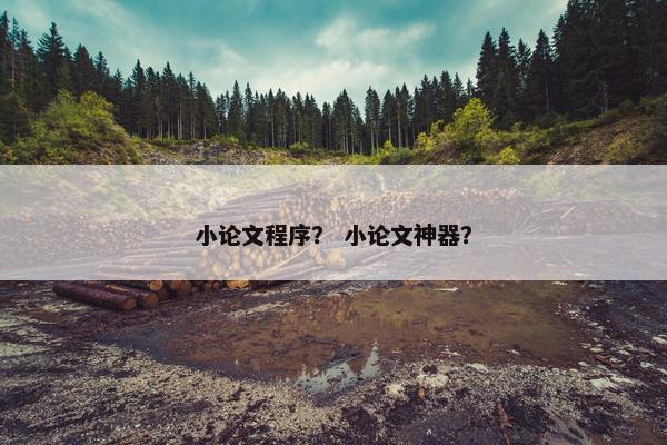 小论文程序？ 小论文神器？