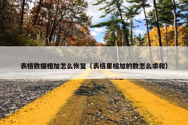 表格数据相加怎么恢复（表格里相加的数怎么求和）