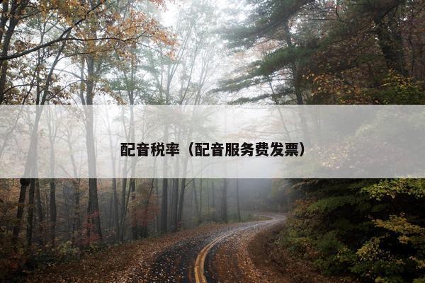 配音税率（配音服务费发票）