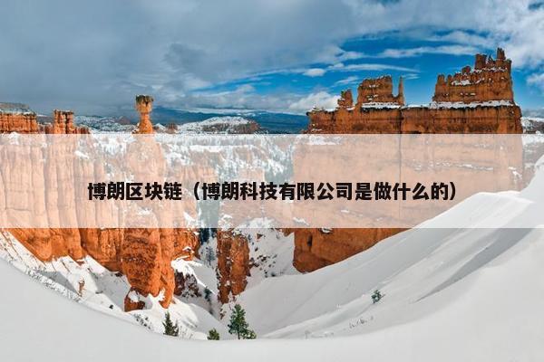 博朗区块链（博朗科技有限公司是做什么的）