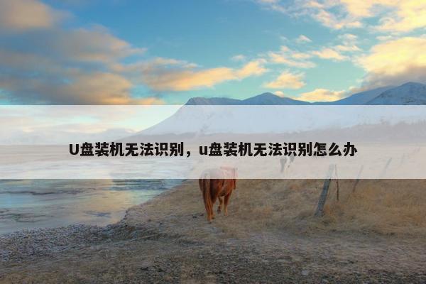 U盘装机无法识别，u盘装机无法识别怎么办