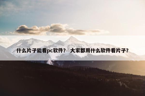 什么片子能看pc软件？ 大家都用什么软件看片子？