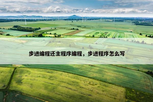 步进编程还主程序编程，步进程序怎么写