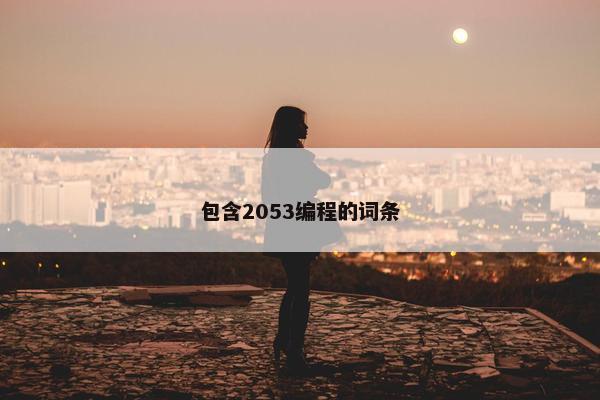 包含2053编程的词条