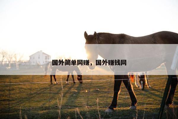 国外简单网赚，国外赚钱网