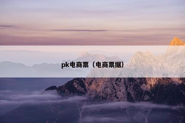 pk电商票（电商票据）