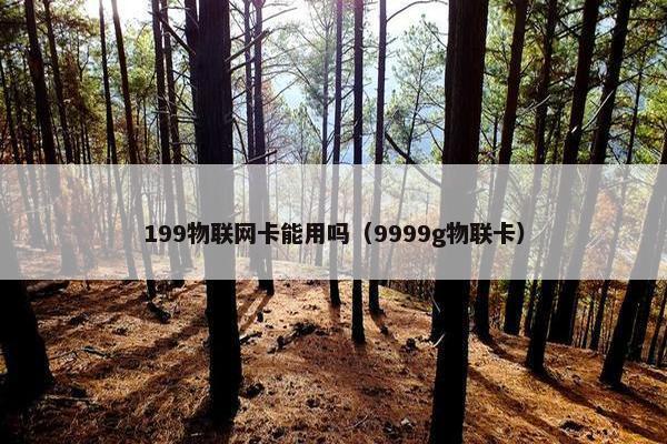 199物联网卡能用吗（9999g物联卡）