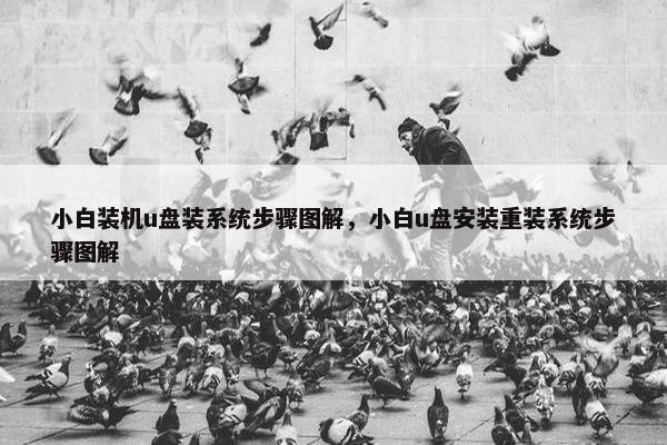 小白装机u盘装系统步骤图解，小白u盘安装重装系统步骤图解
