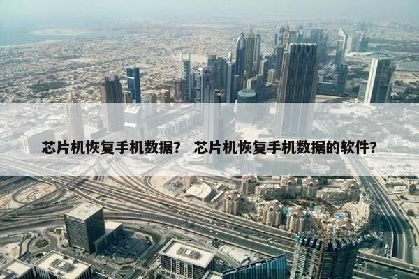 芯片机恢复手机数据？ 芯片机恢复手机数据的软件？