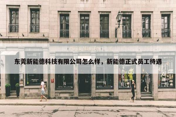 东莞新能德科技有限公司怎么样，新能德正式员工待遇