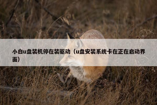 小白u盘装机停在装驱动（u盘安装系统卡在正在启动界面）