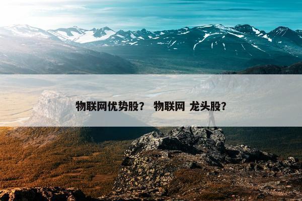 物联网优势股？ 物联网 龙头股？