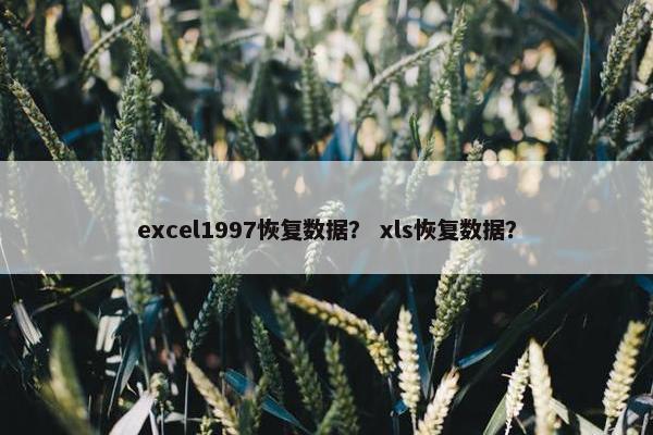 excel1997恢复数据？ xls恢复数据？