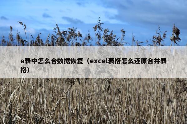 e表中怎么合数据恢复（excel表格怎么还原合并表格）