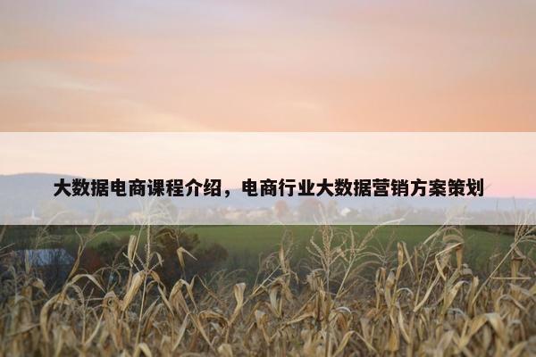 大数据电商课程介绍，电商行业大数据营销方案策划