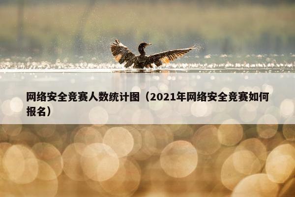 网络安全竞赛人数统计图（2021年网络安全竞赛如何报名）