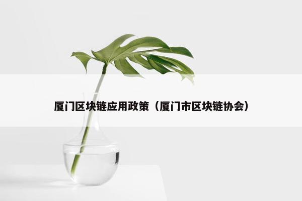 厦门区块链应用政策（厦门市区块链协会）
