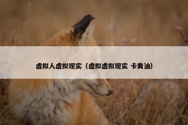 虚拟人虚拟现实（虚拟虚拟现实 卡黄油）