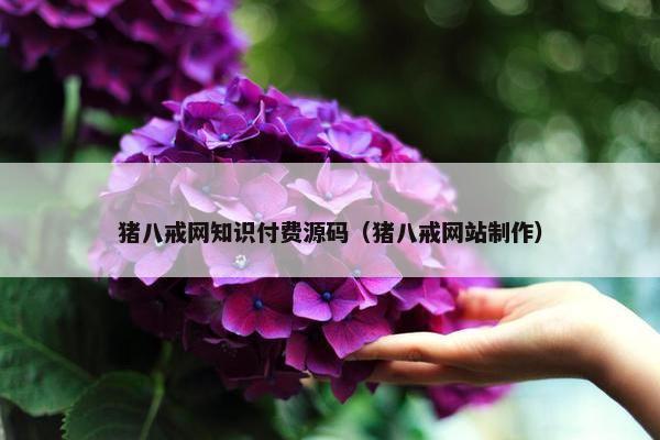猪八戒网知识付费源码（猪八戒网站制作）