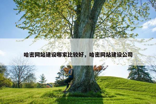 哈密网站建设哪家比较好，哈密网站建设公司