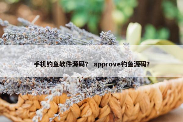 手机钓鱼软件源码？ approve钓鱼源码？