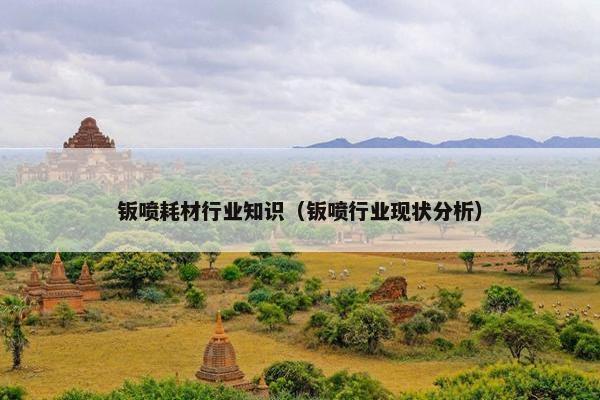 钣喷耗材行业知识（钣喷行业现状分析）