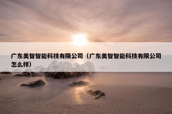 广东美智智能科技有限公司（广东美智智能科技有限公司怎么样）