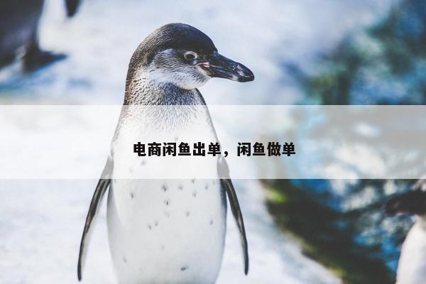 电商闲鱼出单，闲鱼做单