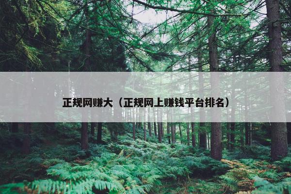 正规网赚大（正规网上赚钱平台排名）