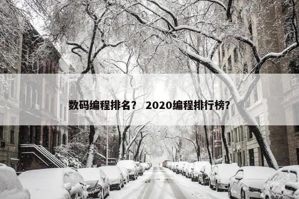 数码编程排名？ 2020编程排行榜？