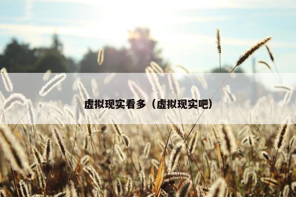 虚拟现实看多（虚拟现实吧）