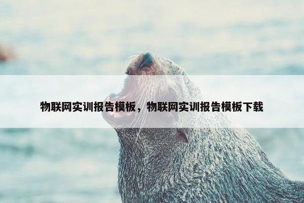 物联网实训报告模板，物联网实训报告模板下载