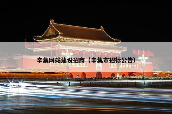 辛集网站建设招商（辛集市招标公告）