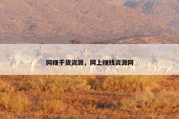 网赚干货资源，网上赚钱资源网