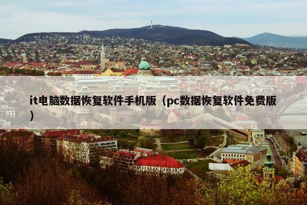 it电脑数据恢复软件手机版（pc数据恢复软件免费版）