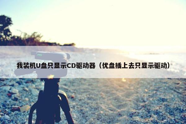 我装机U盘只显示CD驱动器（优盘插上去只显示驱动）