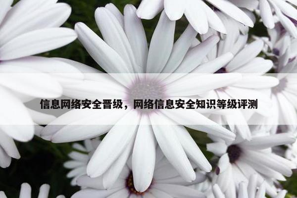 信息网络安全晋级，网络信息安全知识等级评测